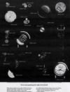 Bulova 1967 15.jpg